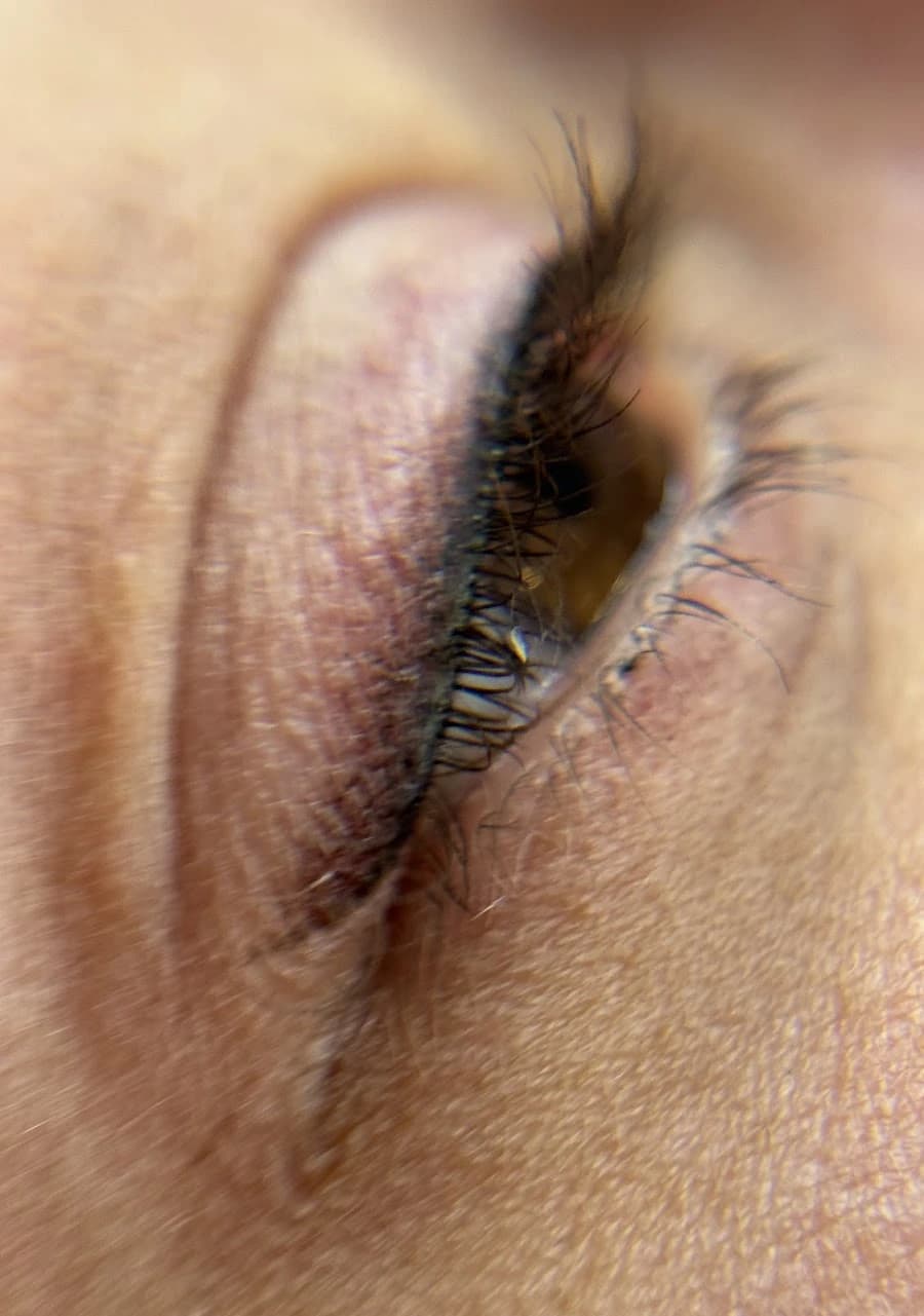 Permanent lips 8